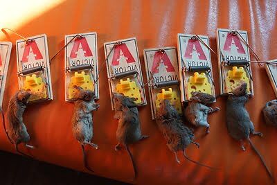 rodent trapping